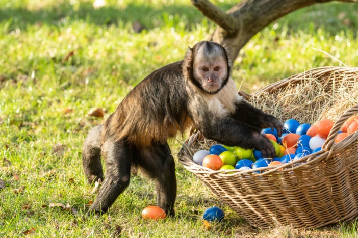 Saisonstart im Schweriner Zoo. © Zoo Schwerin